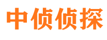 碌曲市婚外情调查